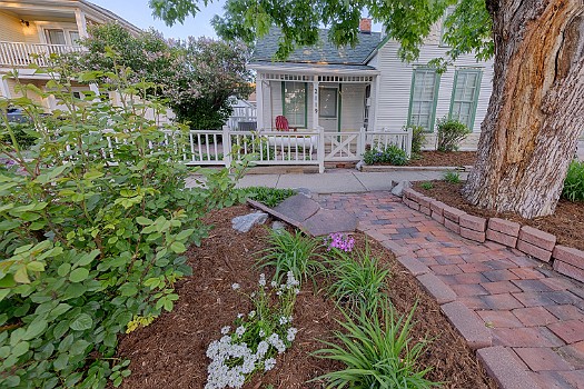 A Vibrant Neighborhood